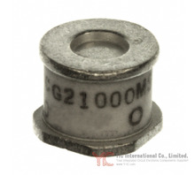 CG21000MSTR